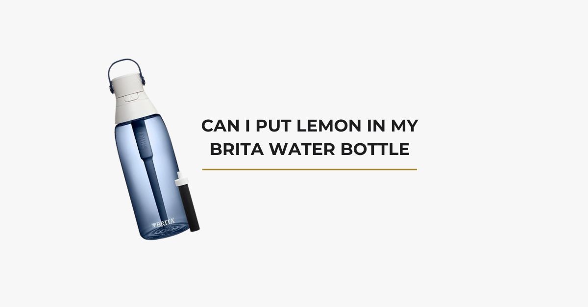 Can I Put Lemon In My Brita Water Bottle
