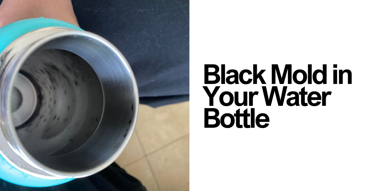 Is Black Mold in Your Water Bottle Dangerous