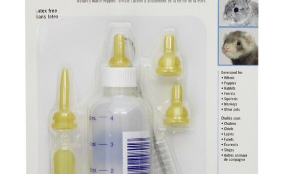 Best Nursing Bottles for Kittens