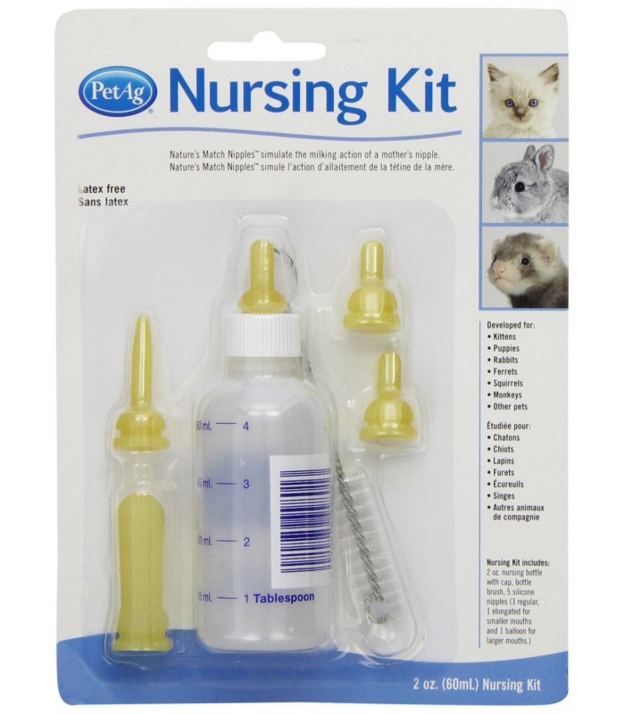 Best Nursing Bottles for Kittens
